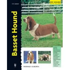 GENERICO - Basset Hound. Excellence