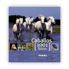 SUSAETA - Caballos (1001 Fotos)