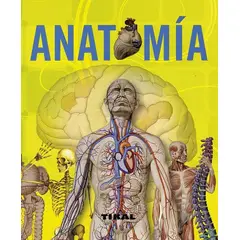 SUSAETA - Anatomía. Enciclopedia Universal