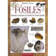 SUSAETA - Fósiles. Pequeñas Joyas