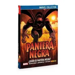 PANINI - Pantera Negra ¿quien Es Pantera Negra? (t.d)