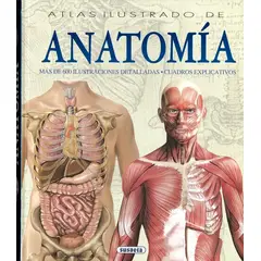 SUSAETA - Atlas Ilustrado De Anatomía