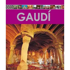 SUSAETA - Gaudí. Enciclopedia Del Arte