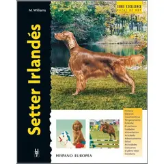 GENERICO - Setter Irlandés. Excellence