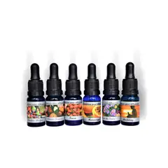 ECOESENCIAS - Esencias Hidrosolubles x 12 und gotero fragancias para difusor