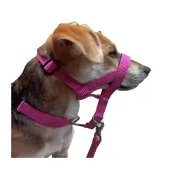 GENERICO - Collar Halti AntiTirones + Correa + Collar Común (M) Fucsia