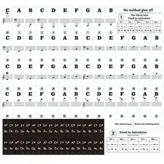 GENERICO - Pegatinas de nombre Teclado Piano transparente de 88 teclas.