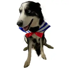 AMERICO SHOP - Disfraz de Marinero para Perro Grande Mascota Talla 5XL