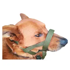GENERICO - Collar Halti. AntiTirones + Correa 120 Cm (L) Verde Militar