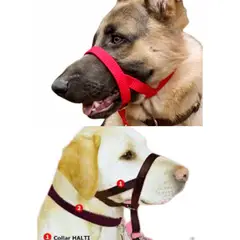 GENERICO - Collar Halti Anti tirones,Correa y Collar (M) Verde Militar