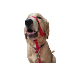 GENERICO - Collar Halti Anti Tirones Adiestramiento Talla M Rojo
