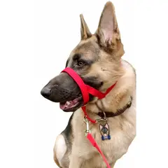 GENERICO - Collar Halti Anti Tirones, Adiestramiento Talla (XL) Rojo