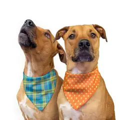 GENERICO - Pañoleta Perro doble faz L - Classic