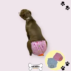 GENERICO - Calzones para celo