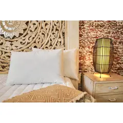 NUBEFLEX - Set X2 Almohadas Estándar 45x65cm Siliconada