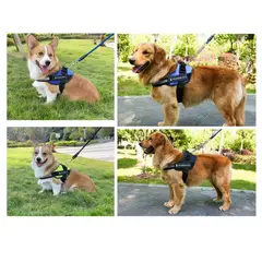 AFM - Arnés Para Perro Anti-tirones Talla XXL