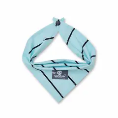 WAWAW - Pañoleta para perro talla S verde rayas azules