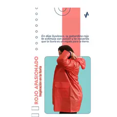 AFM - Gabardina Unisex 100 Impermeable Resistente