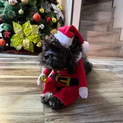 SHEN HUANG - Traje Navideño Para Mascota Perro Gato Papa Noel Raza XL