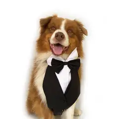 WAWAW - Esmoquin para perro talla 4XL babero negro corbatín negro Navidad