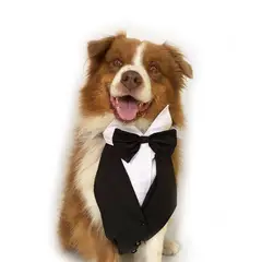 WAWAW - Esmoquin para perro talla XS babero negro corbatín negro Navidad