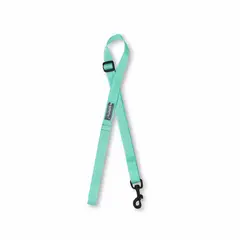 WAWAW - Traílla para perro talla XL reata menta