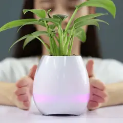 GENERICO - PARLANTE BLUETOOTH JUNGLE.