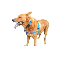 GENERICO - Arnés Anti Tirones Collar Trailla Talla XL Rojo