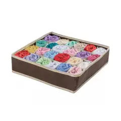 ORDENE - Organizador Pantie Tnt Marron - - OR64800
