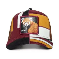 GOORIN BROS - Gorra Original DORBZ