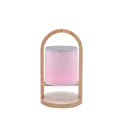 VTA PLUS - Speaker VTA 12W Cork Naturals Luces RGB.