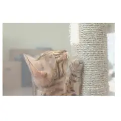 GENERICO - Rollo Cabuya Cuerda Soga Yute Fique Ecologica Rascador Gato