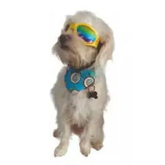 AFM - Gafas de sol para mascotas