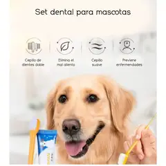 AFM - Kit Cepillo De Dientes Y Crema Dental Para Perros