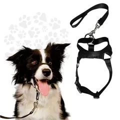 GENERICO - Bozal De Entrenamiento Halti Para Perros Anti Jalones XL
