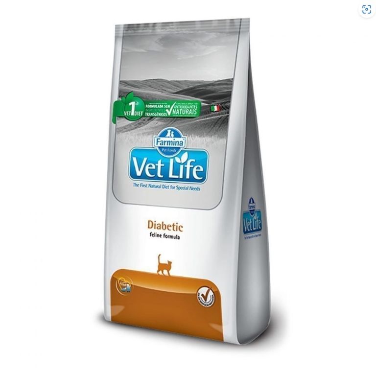 Feline Gatos Diabetic Diabetes Mellitus 2kg