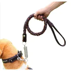 AFM - CORREA Y COLLAR EN CUERO