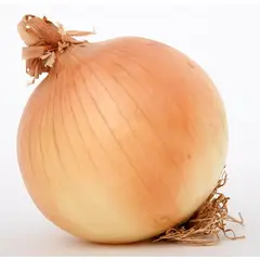 GENERICO - Semillas Cebolla Cabezona Hortaliza Verdura Sembrar Cultivo Hogar Hue