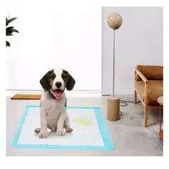 AFM - TAPETES ADIESTRAMIENTO ABSORBENTES TALLA L 40 unid