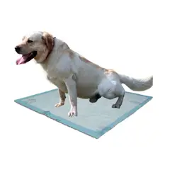 HALLY PET - 40 Und Tapetes Absorbentes 90 Cm X 60 Cm Para Mascotas.---_.