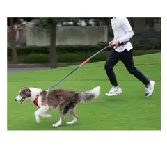 AFM - CORREA MANOS LIBRES TIPO CINTURÒN PARA CORRER CON MASCOTAS