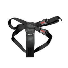 GENERICO - Cinturón De Seguridad Para Mascota Mikels Cisma