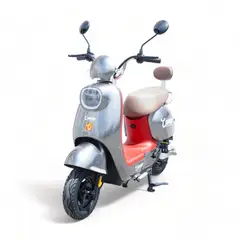 CANAAN - Moto eléctrica MOPED 350W GRIS MÁS OBSEQUIO