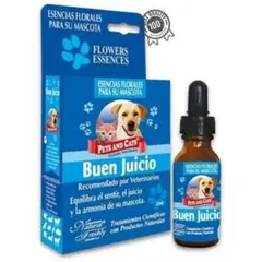 NATURAL FRESHLY - Esencia Buen Juicio 25Ml Letsgo