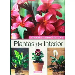 SUSAETA - Gran Libro De Las Plantas De Interior