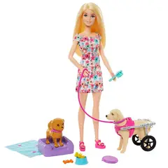 BARBIE - Muñeca Paseo Con Perrito En Silla De Ruedas