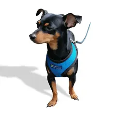 GENERICO - Pechera para perro KONNO talla XS