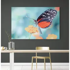 TAYRONA STORE - Cuadro En Lienzo Para Comedor Mariposas 268 120x80cm