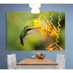 TAYRONA STORE - Cuadro En Lienzo Para Comedor Colibri 031 70x50cm.