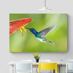 TAYRONA STORE - Cuadro En Lienzo Para Comedor Colibri 036 120x80cm